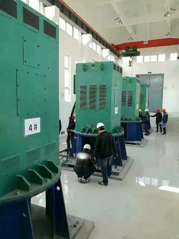 运粮湖管理区某污水处理厂使用我厂的立式高压电机安装现场