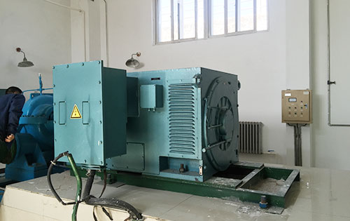 运粮湖管理区某水电站工程主水泵使用我公司高压电机